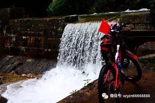 可爱又实用:蜜雪冰城吨吨桶的惊喜与享受